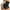#1 Black+Nude, variant on Wowen Seamless Shapewear Tummy Control Panty High Waist Lace Thigh Slimmer Body Shaper Underwear Slimming Briefs
