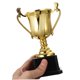 thumbnail image 5 of FENGGUIQU Trophy Plástico Dorado Para Eventos Deportivos Y Accesorios De, 5 of 8