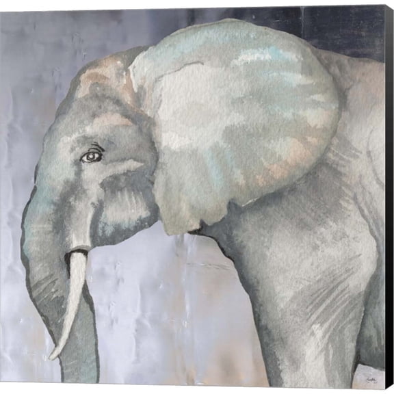Great Art Now Elephant by Elizabeth Medley, Canvas Wall Art, 24W x 24H