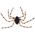 thumbnail image 1 of Halloween Araña De Bolsillo Creativa Disfraces Decoraciones Para Fiestas Araña Aterradora Gigante Con Ojos Largos Correa De Color Araña Grande Eigraketly HA040421-03, 1 of 6