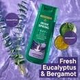 thumbnail image 4 of Irish Spring 5 in 1 Moisturizing Body Wash for Men, Fresh Eucalyptus & Bergamot Scent, 20 fl oz, 4 of 13