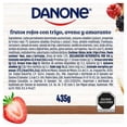 thumbnail image 2 of Yoghurt Danone Licuado frutos rojos 435 g, 2 of 4