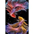 thumbnail image 1 of Cuadros Decorativos Tour de peces de colores de diamante de círculo completo de pintura de diamantes 5D JShteea Nuevos Originales, 1 of 9
