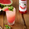 thumbnail image 3 of Monin 1 Liter Premium Watermelon Flavoring Syrup, 3 of 3