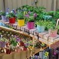 thumbnail image 2 of Estbridg 8 Pack 4 Inch Iron Hanging Planters Multicolor Flower Pots Balcony Garden Railing Planter  Fence Hanging Metal Bucket Plants Holders Set for Indoor and Outdoor with Detachable Ho, 2 of 7