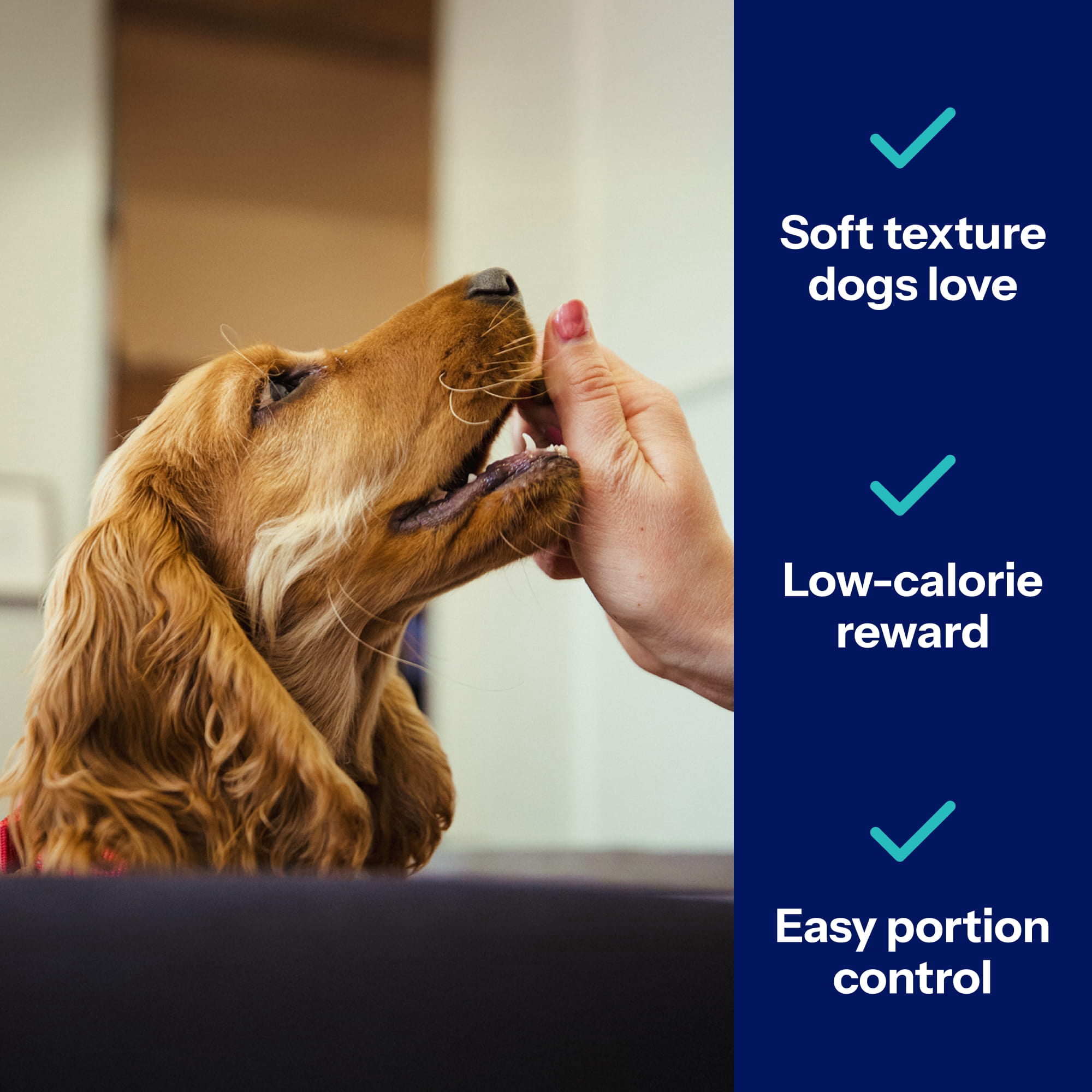 Covetrus Nutrisential Lean Treats for Dogs - Soft Dog Treats for Small & Medium Dogs - Nutritional Low Fat Bite Size K9 Treats - Chicken Flavor - 3 Pack - 4oz