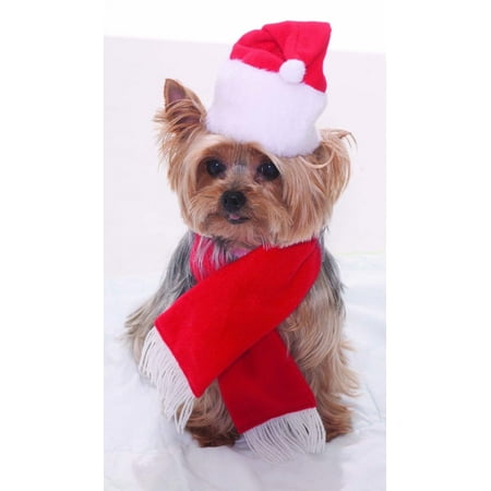 Dog Cat Santa Hat & Scarf Set Christmas Holiday Festive Costume Accessory
