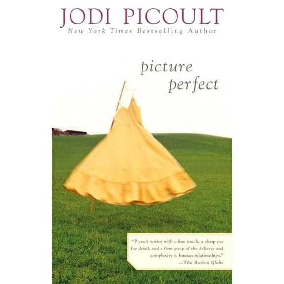 Pre-Owned Picture Perfect (Paperback) 0425185508 9780425185506