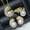 White, variant on Multicolor freshwater pearl necklace bracelet earrings CZ leopard Delicate Jewelry Set-Pink