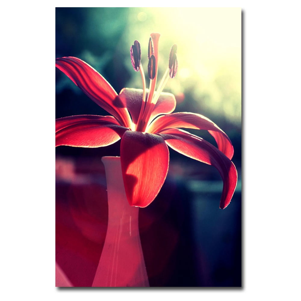 Trademark Fine Art Beata Czyzowska Young 'Lady in Red' Canvas Art 30x47 Inches