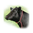 thumbnail image 2 of "SULLIVAN SUPPLY, INC NECK TIE POLY COW & PK/WT NT-PI", 2 of 2