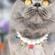 thumbnail image 4 of Collar de perlas para perros, joyería para cachorros - Collar de boda con brillantes diamantes de imitación para gatos., 4 of 5