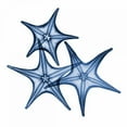 thumbnail image 3 of Koetsier, Albert 12x12 Black Modern Framed Museum Art Print Titled - Blue Three Starfish, 3 of 5