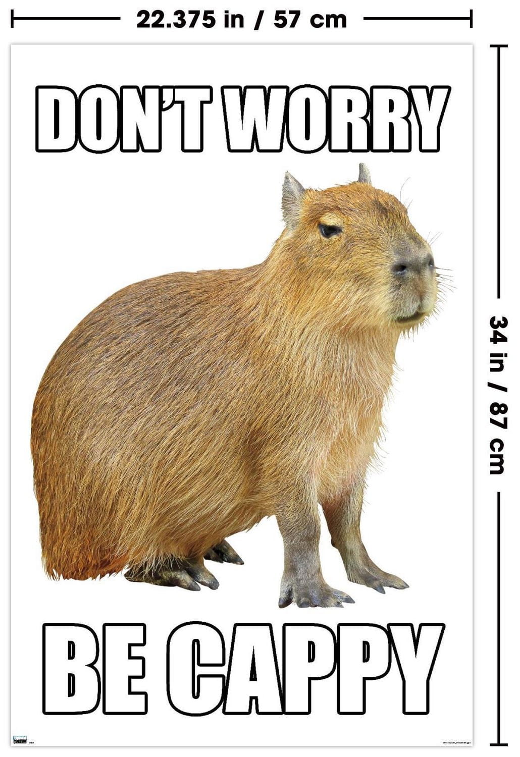 Capybara – Soyez Capybara