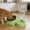 Green754, variant on Pet Feeder & Water Dispenser Automatic | Stainless Steel Bowl, Dual Pet Food & Water Station for Cats Dogs | Multicolor, Durable Plastic 28x19.5x9cm, Easy Clean, Home Use