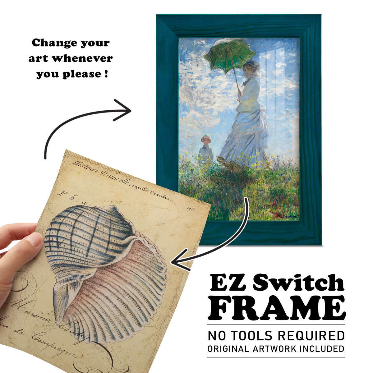Seashell Ephemera V - Framed Print w/glass - Ocean Blue