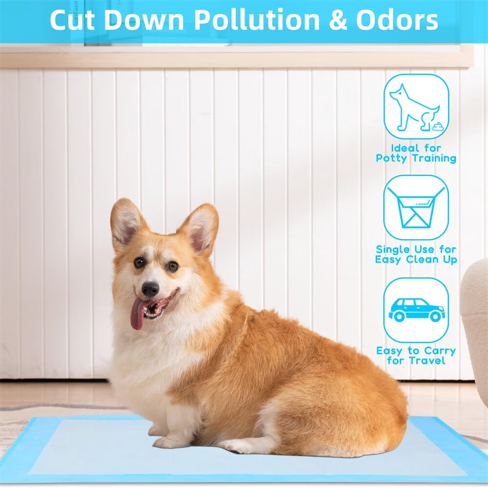 ZOUYUE 40 Count Pee Pads for Dogs,Disposable Training Pads,23.6" x 23.6" Large Super Absorbent & Odor Neutralizing Dog Potty Pads, Leak-Resistant Puppy Pee Pads