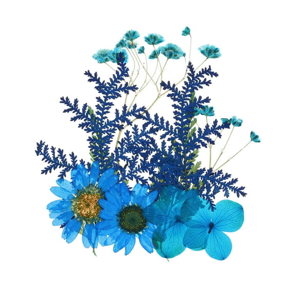 Dried Pressed Real Flowers Pressed Flowers Dry Leaves for DIY Crafts Blue