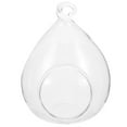 thumbnail image 2 of Smooth Globe Terrarium with Big Opening Clear Hanging Glass Terrarium Air Plant Planter, 2 of 9