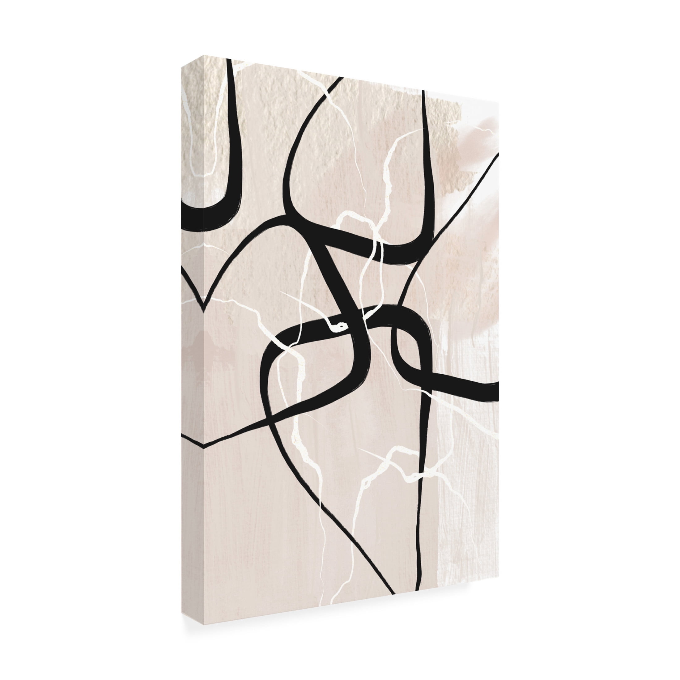 Trademark Fine Art Sally Ann Moss White Lines 2 Canvas Wall Art