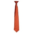 thumbnail image 1 of Premier  Adult Satin Tie, 1 of 2