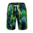 thumbnail image 4 of Barry.Wang Men's Hawaiian Casual Shorts Classic Casual Floral Tropical Holiday Beach Tropical, 4 of 4