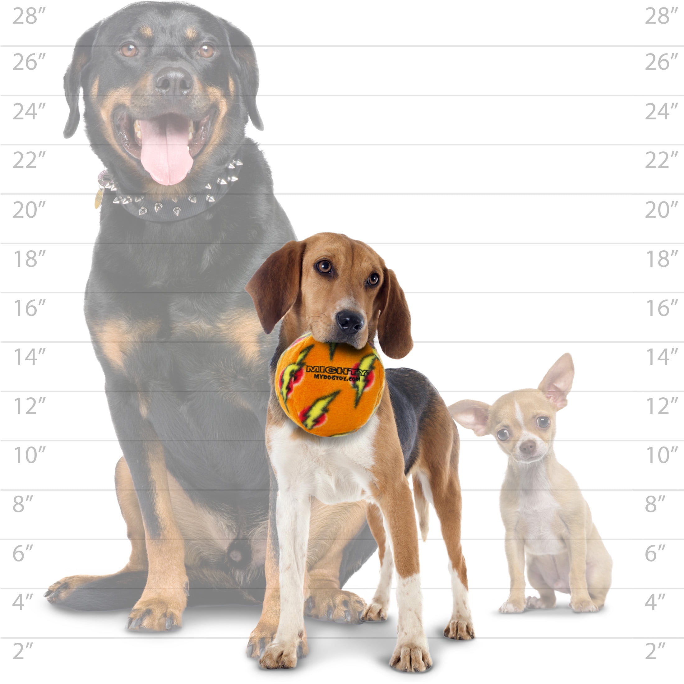 Mighty Ball Medium Orange, 2-Pack Dog Toys