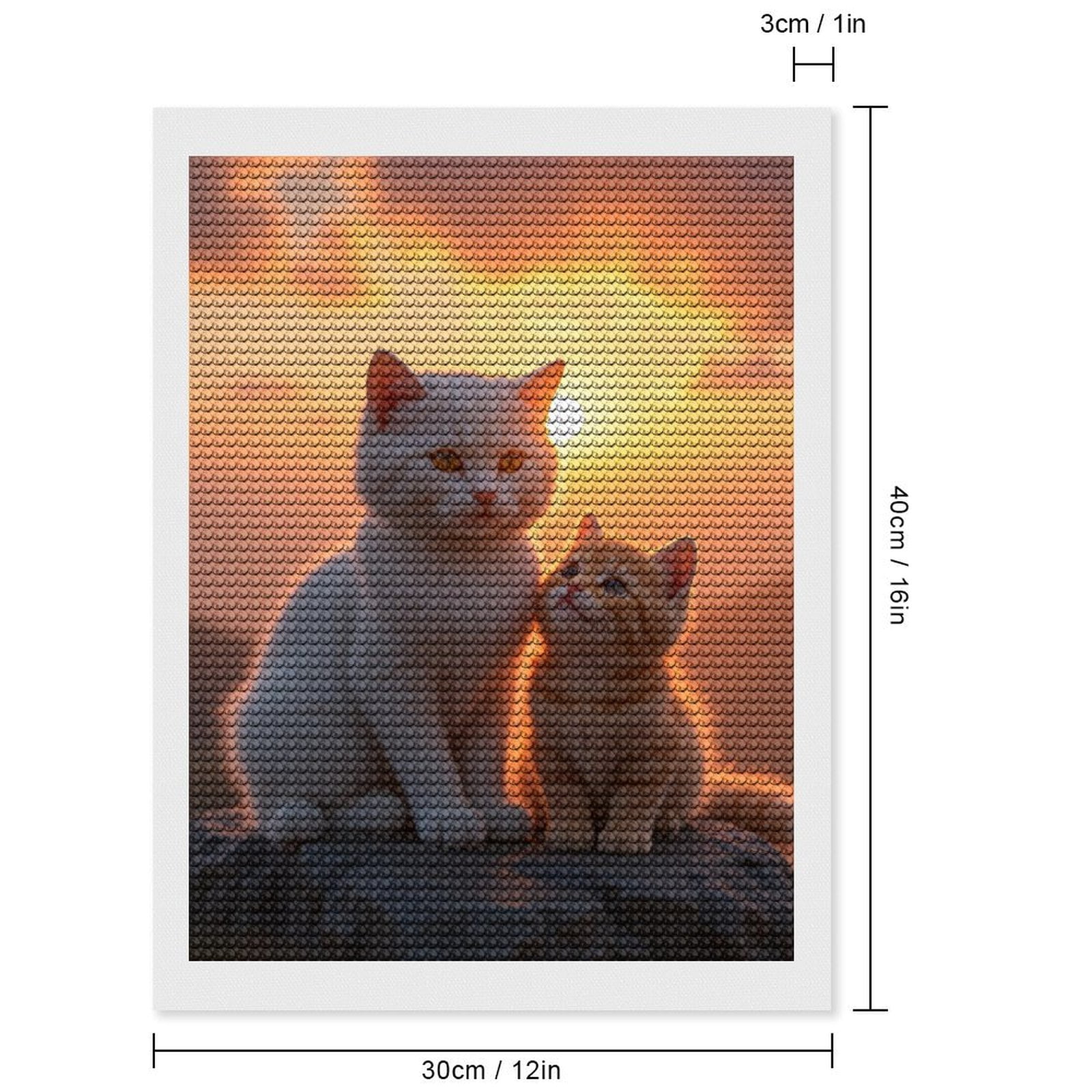 Diamond Art Kits for Adults, Cat Sunset Rock Family Moment 5D Diamond Painting Kits for Adults Beginners, DIY Full Drill Diamond Painting, Gem Art and Crafts 12x16