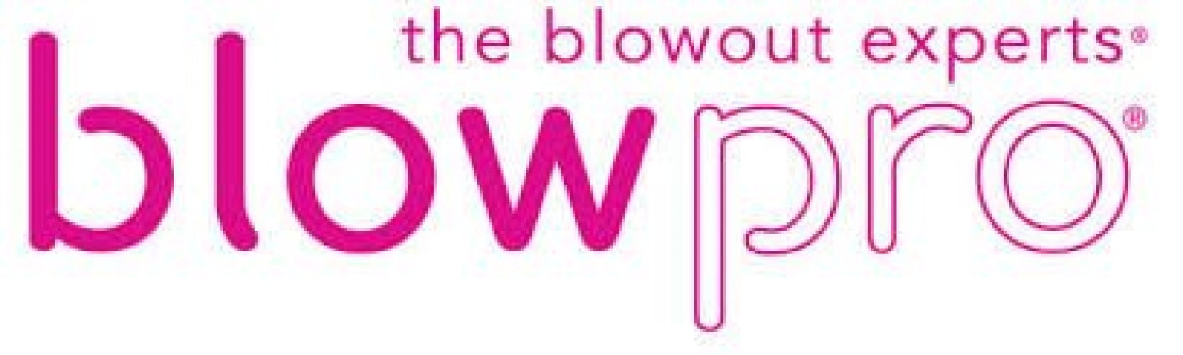 blowpro titanium flat iron