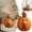 E, variant on XINGXIANG Farm Animal Pumpkin Figurines, Funny Farm Animals Statue for Fall Thanksgiving & Halloween Decorations, Farmhouse Pumpkin Figurines Gift for Autumn Table Centerpiece Decoration (Cow)