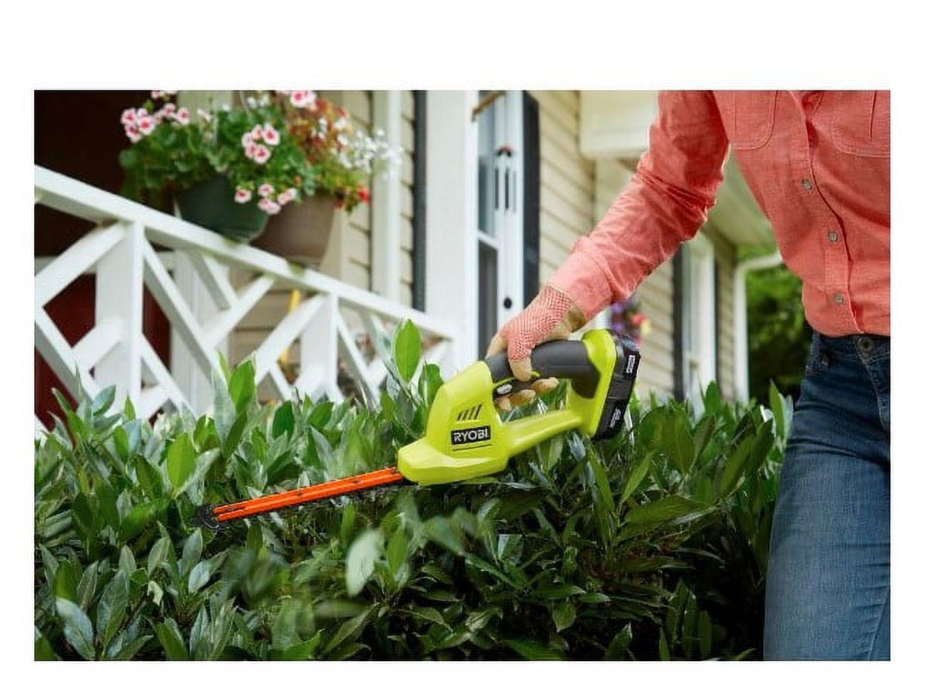 Ryobi shear shrubber sale