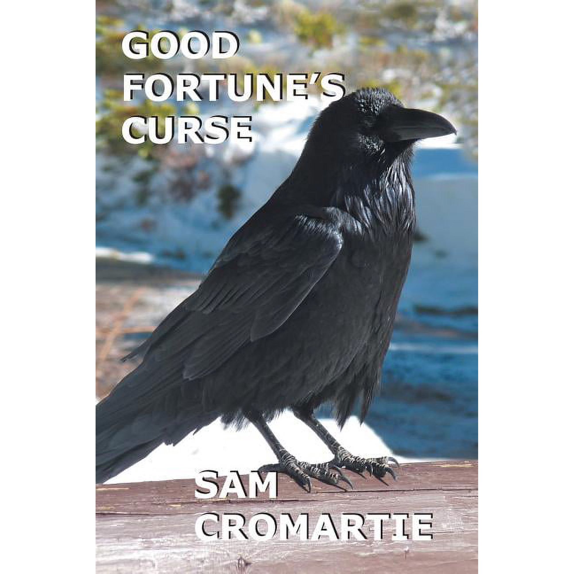 Good Fortune s Curse (Paperback)