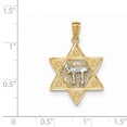 thumbnail image 2 of 14k Two-tone Gold Polished Star of David w/Chai Pendant, 2 of 3