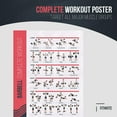 thumbnail image 2 of FitMate Barbell Workout Exercise Poster - Workout Routine with Free Weights, Home Gym Decor, Room Guide (20 x 30 Inch), 2 of 5