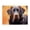 500 Pieces, variant on 500 Piece Artistic Labrador Dog Jigsaw Puzzle For Adults – Vibrant Pet Portrait, Challenging Wooden Brain Game, Relaxing Stress Relief Gift & Home Decor