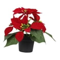 thumbnail image 3 of Arreglo Floral De Flor De Pascua En Maceta Para Regalo De Navidad Para Fiesta Navideña De Oficina, 3 of 8