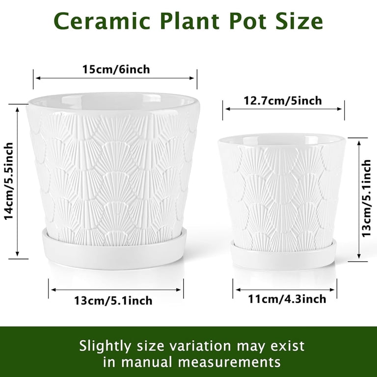 Seashell Embossed Ceramic Plant Pots with Drainage, Set of 2 photo 4