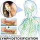 thumbnail image 4 of Pendientes de germanio con magnetología y linfa de Atheniz, pendientes de terapia magnética con tachuelas magnéticas Amo'thea Lymphactive, 4 pares, 10 mm, 4 of 5
