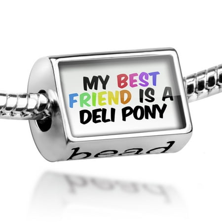 Bead My best Friend a Deli pony, Horse Charm Fits All European (Best Deli In Usa)
