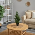 thumbnail image 4 of Nearly Natural 2' Mini Cedar Pine Artificial Tree (Indoor/Outdoor), Green, 4 of 4