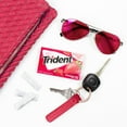 thumbnail image 5 of Trident Strawberry Twist Sugar Free Gum, 12 Packs of 14 Pieces (168 Total Pieces), 5 of 12