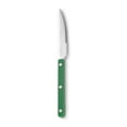thumbnail image 1 of Nvzi Rivet Clamp Handle Kitchen Stainless Steel Silverware Tableware Flatware Cutlery Steak Knife Western Tableware -Green,4 pieces, 1 of 4