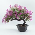 thumbnail image 2 of Maceta artificial de bonsái de simulación de decoración de plantas en maceta para oficina en casa (rosa roja), 2 of 6