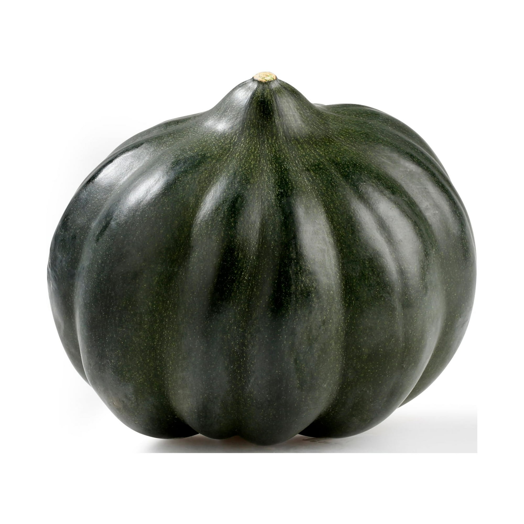 Fresh Acorn Squash, Each