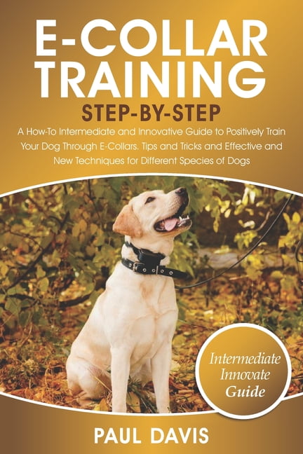 e collar training techniques
