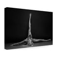 thumbnail image 4 of Anton Belovodchenko 'Bodyscape' Canvas Art, 4 of 4