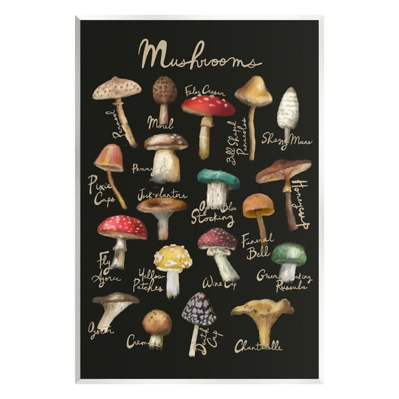 Stupell Industries Varied Mushrooms Kitchen Chart Landscape Painting Unframed Art Print Wall Art