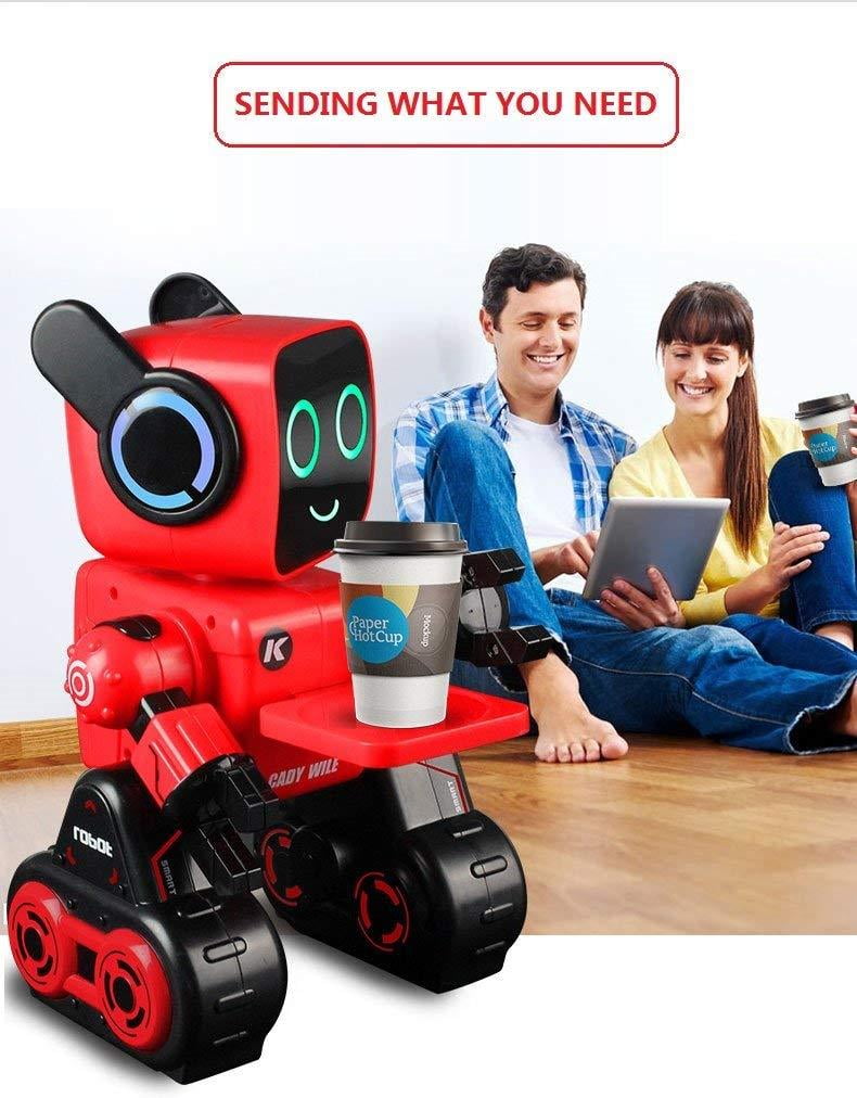 hi tech wireless interactive robot