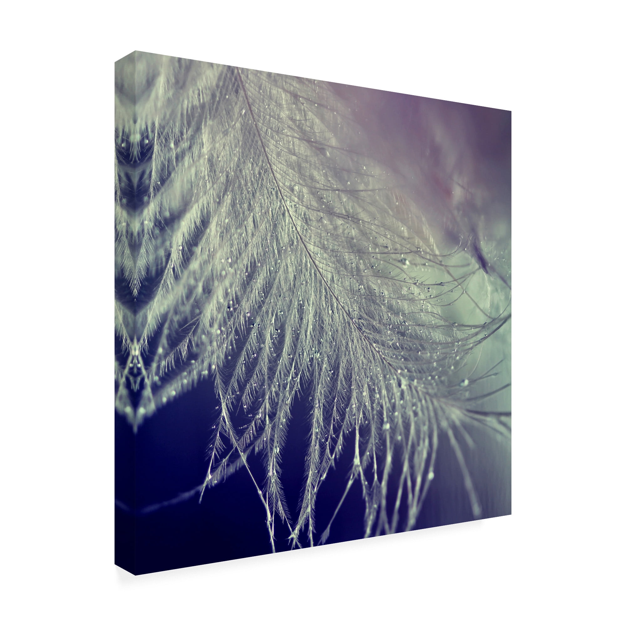 Trademark Fine Art 'BC For you' Canvas Art by Beata Czyzowska Young
