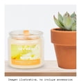 thumbnail image 4 of Vela Aromática Scents for Everyday Vainilla 240 gr, 4 of 4